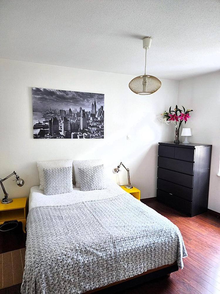 Appartement 3 Pieces, Krutenau, Parking Prive Страсбург Екстер'єр фото