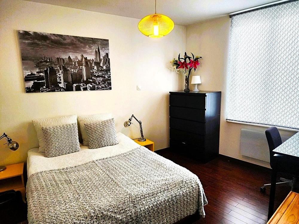 Appartement 3 Pieces, Krutenau, Parking Prive Страсбург Екстер'єр фото